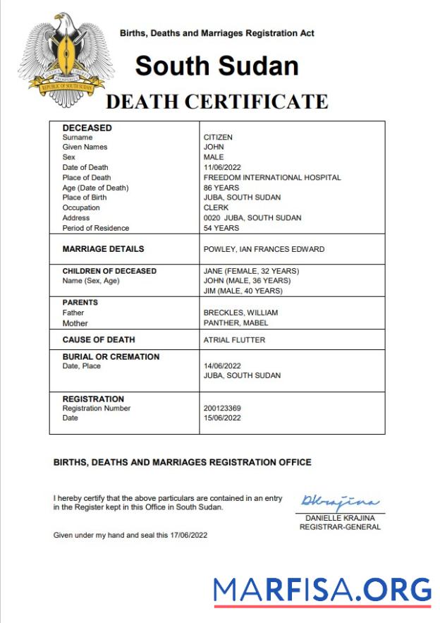 Blank South Sudan vital record death certificate Word and PDF template